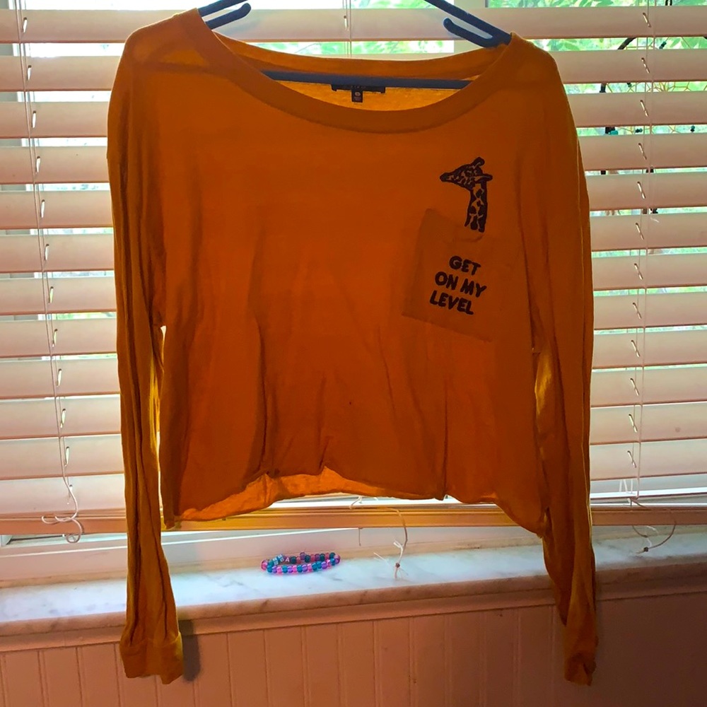 Fun crop long sleeve top